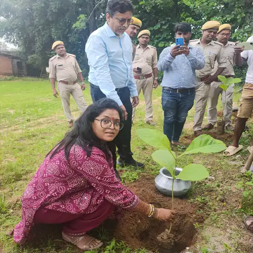 Plantation Activity